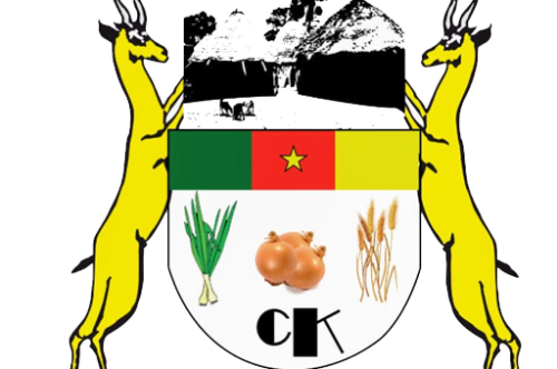 NDJIDDA TAKOUDAMA, Maire
